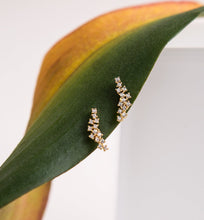 Load image into Gallery viewer, Ariel Earrings