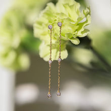 Load image into Gallery viewer, Dainty Crystal Drop Earrings
