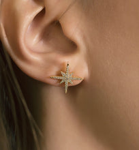 Load image into Gallery viewer, Celeste Star Burst Stud Earrings
