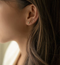 Load image into Gallery viewer, Dakota Tiny Crystal Studs
