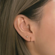 Load image into Gallery viewer, Dakota Tiny Crystal Studs
