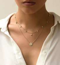 Load image into Gallery viewer, Dakota Choker Necklace
